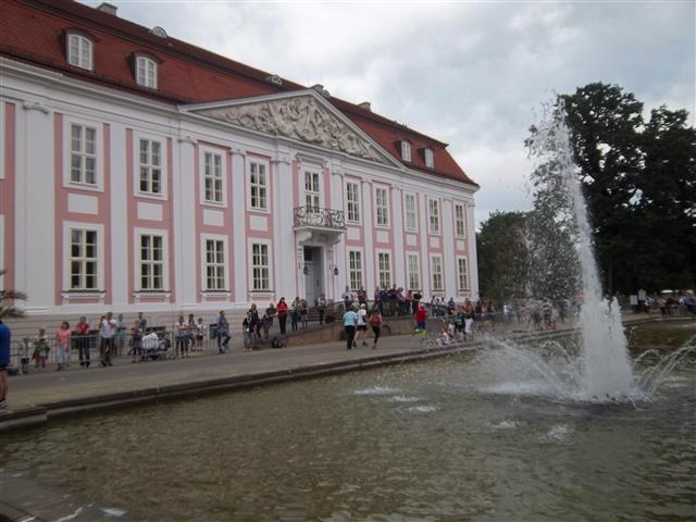 Tierparklauf 2013